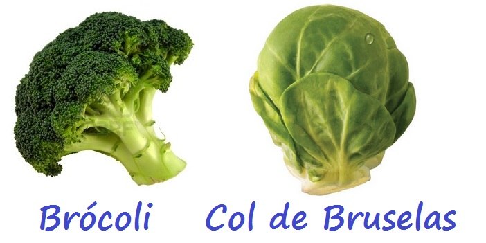 Izda: Brócoli. Drcha: Col de Bruselas